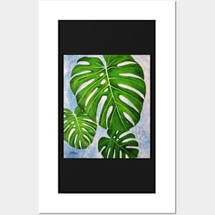 Monstera Leaf 1 Posters and Art